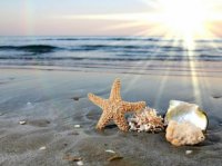 ​富有人生哲理的一句话