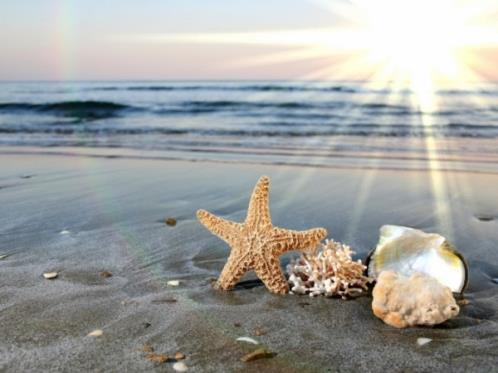 富有人生哲理的一句话