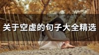 ​关于空虚的句子大全精选(46句)