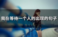 ​我在等待一个人的出现的句子(44句)