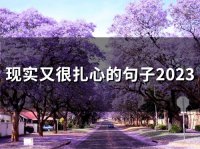 ​现实又很扎心的句子2023(58句)