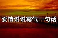 ​爱情说说霸气一句话(61句)