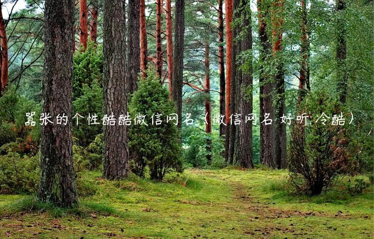 嚣张的个性酷酷微信网名（微信网名 好听 冷酷）
