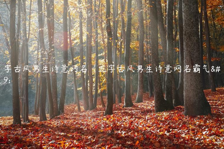 五字古风男生诗意网名（五字古风男生诗意网名霸气）