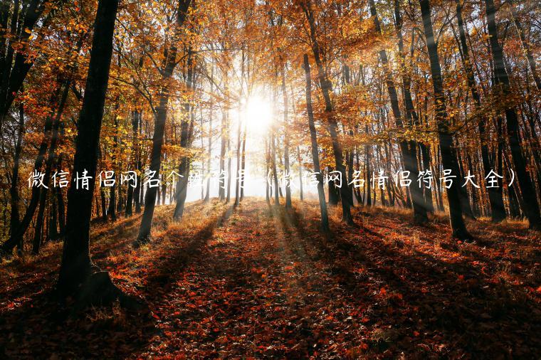 微信情侣网名个性符号（微信网名情侣符号大全）