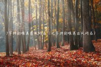 ​7字押韵唯美古风网名（七字押韵唯美古风网名）