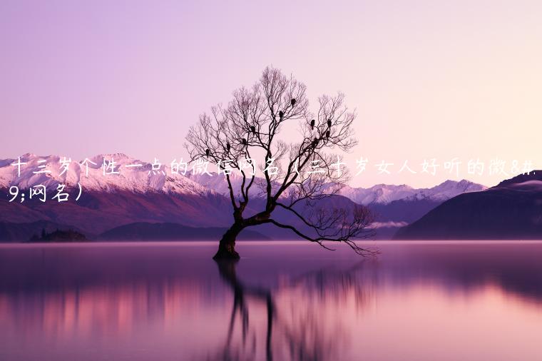 三十三岁个性一点的微信网名（三十岁女人好听的微信网名）