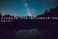 ​搞笑女生微信头像个性网名（搞笑女生微信头像个性网名大全）