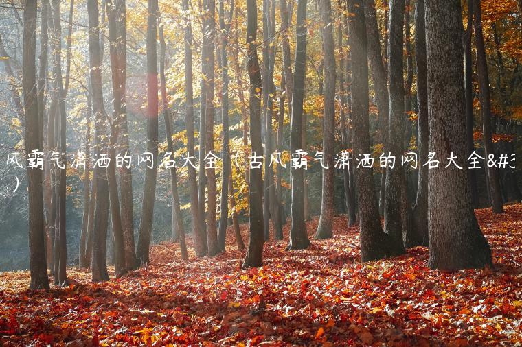 古风霸气潇洒的网名大全（古风霸气潇洒的网名大全男）