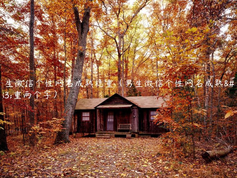 男生微信个性网名成熟稳重（男生微信个性网名成熟稳重两个字）