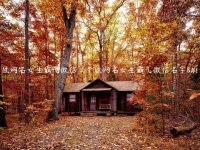 ​个性网名女生霸气微信（个性网名女生霸气微信名字）