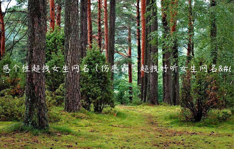 伤感个性超拽女生网名（伤感霸气超拽好听女生网名）