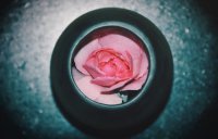 ​分手好悲伤的句子说说心情