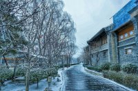 ​雪景感悟短句 感受雪景的心情短语