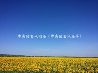 ​带离的古风网名（带离的古风名字）