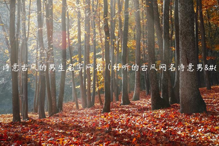 有诗意古风的男生名字网名（好听的古风网名诗意男）