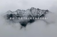 ​爱情5字网名（表达爱意的五字网名）