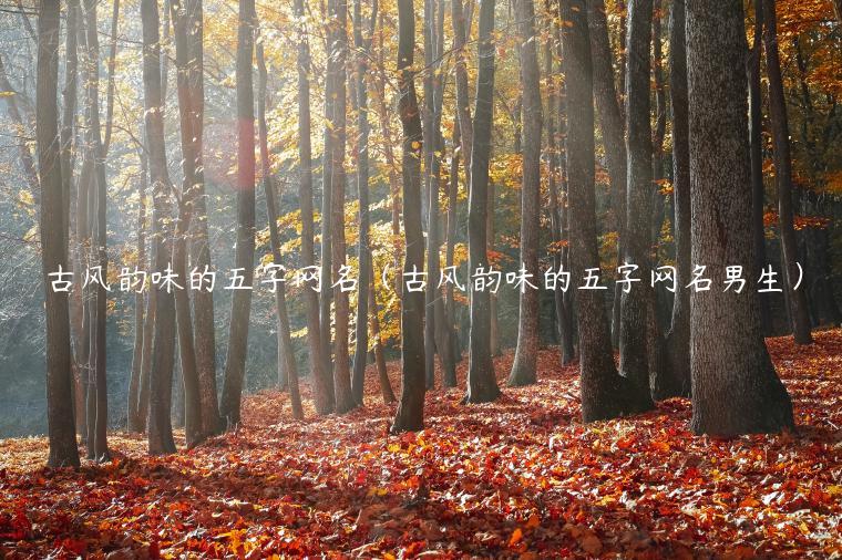 古风韵味的五字网名（古风韵味的五字网名男生）