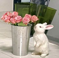 ​很有寓意的网名（小众且寓意深长的网名大全）