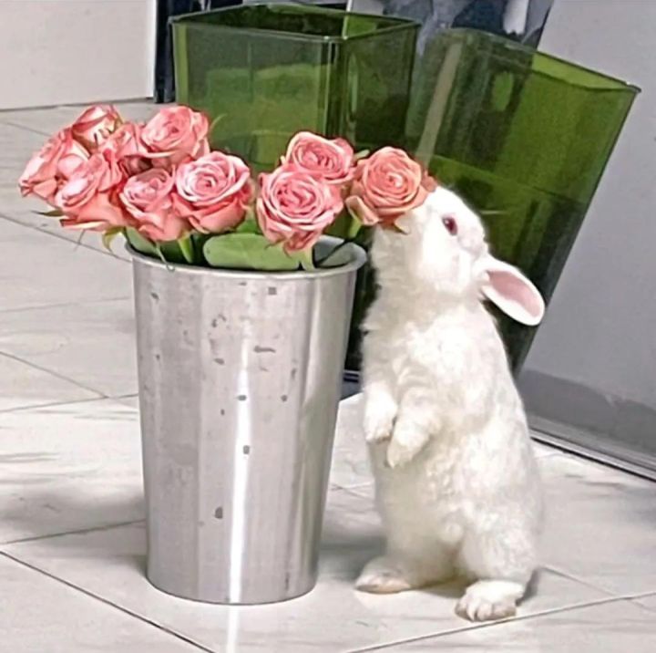 很有寓意的网名（小众且寓意深长的网名大全）