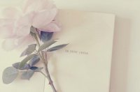 ​温暖小清新的个性签名