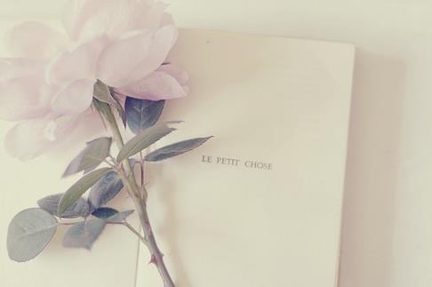 温暖小清新的个性签名