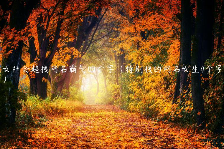 女社会超拽网名霸气四个字（特别拽的网名女生4个字）