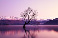 ​个性签名霸气女王范网名（个性签名霸气女王范繁体字）