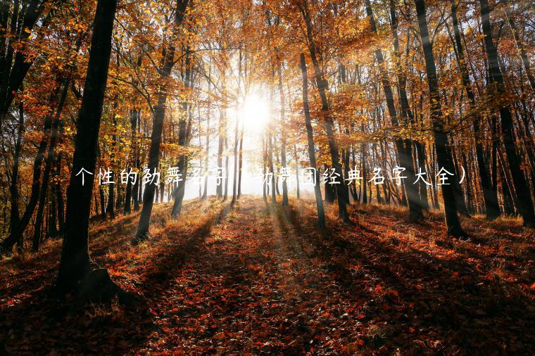 个性的劲舞名字（劲舞团经典名字大全）