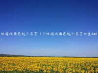 ​个性游戏角色起个名字（个性游戏角色起个名字女生）