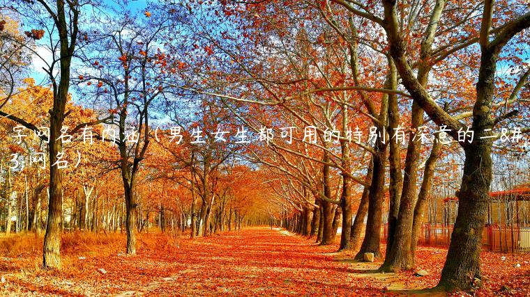 俩字网名有内涵（男生女生都可用的特别有深意的二字网名）