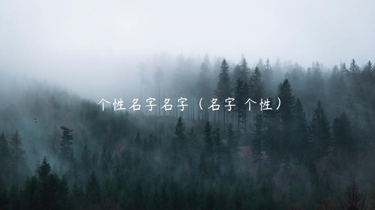个性名字名字（名字 个性）
