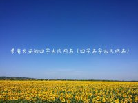​带有长安的四字古风网名（四字名字古风网名）