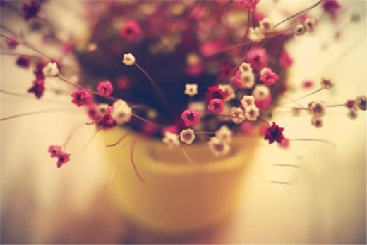 快手短语说说大全