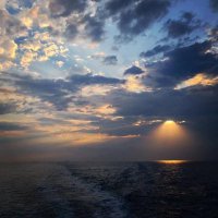 ​现实心情说说感悟生活（生活工作感悟经典句子说说心情）