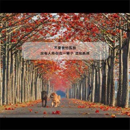 开心的句子说说心情