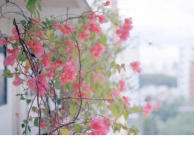 人心幽默句子说说心情短语