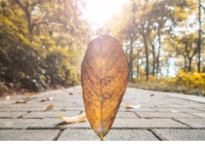 生日心情说说感悟生活