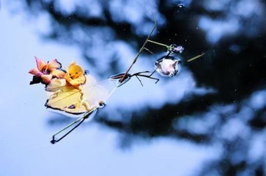 上班心情不好的说说