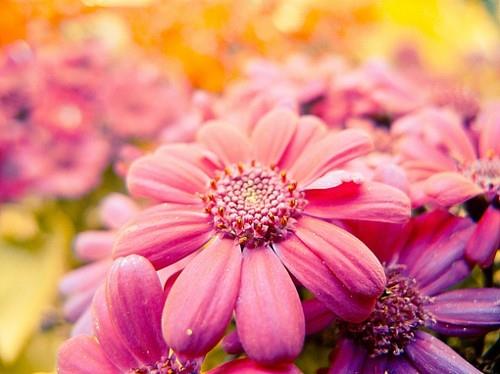 关于个性晚安说说心情短语