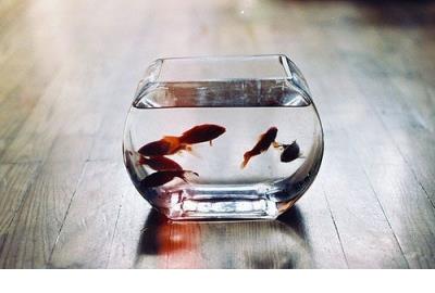 适合长时间不发朋友圈的说说