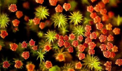 发朋友圈早安心语励志短句