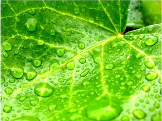 伤感的句子说说心情