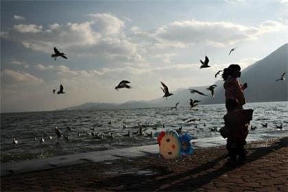 高情商的人发朋友圈