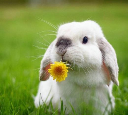 失而复得的心情语录