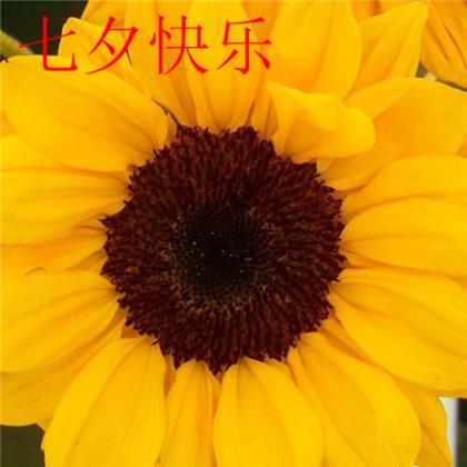 累了想一个人静静图片