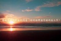 ​带清字的三字古风网名（好听的带清字的网名三字）
