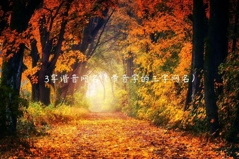 3字谐音网名（带音字的三字网名）