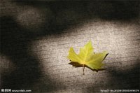 ​悲伤的句子说说心情