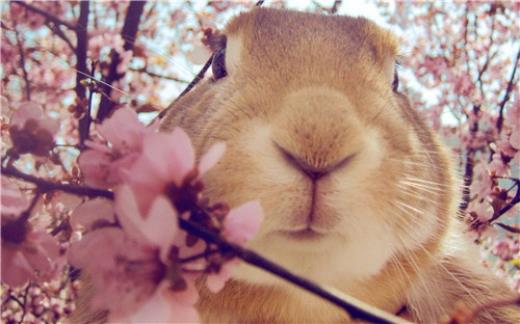雨天伤感的句子说说心情